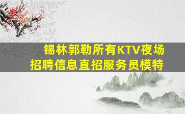 白银夜场招聘